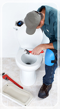 toilet plumber